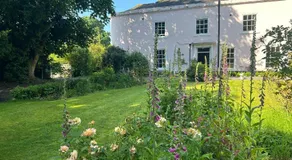 The Pink House - Image 2