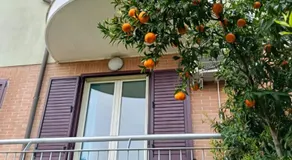 B&B Onda - Image 3