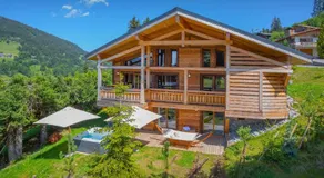 Chalet Behansa - OVO Network - Image 2
