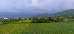 Sharmaji Hotel And Homesaty - Image 2