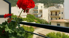 Sunny Living - Image 3