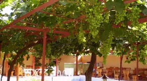 Guest House Yavorov - Image 5