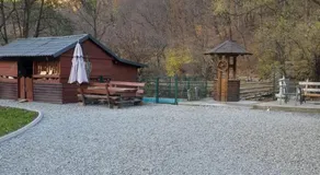 Casa de vacanta Gea Transalpina - Image 5