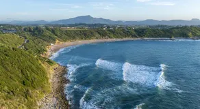 Bonjour Sauvage Saint Jean de Luz - Image 3