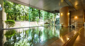 Grandvrio Hotel Unazuki Onsen - Image 3