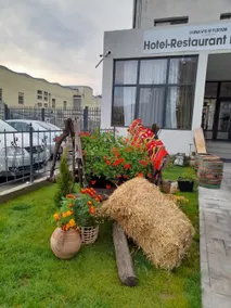 Hotel Dunavis - Image 3