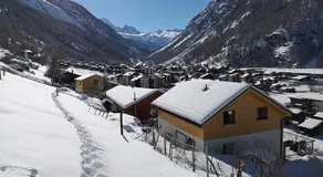 Petit Paradisli - Image 4