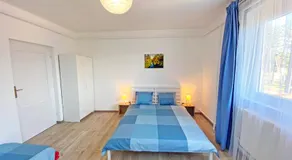 Vizililiom Vendégház - Image 5