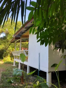 Forest House at Koh Yao Noi - Image 4