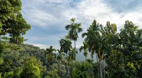 Diyaluma NAS Villa - Image 3