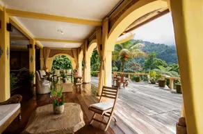 DWan Tea Mountain Side - Image 3