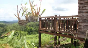 Natural House Farm Stay - Image 4