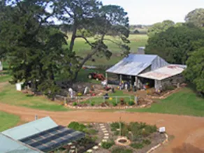Sunflowers Animal Farm and Farmstay Guest House - Image 3