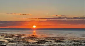 Beautiful seaside Willow Cottage hosted by Whitstable-Holidays - Image 5