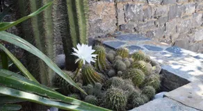 Olous Secret Hideaway - Sea View Studio Elounda - Image 5
