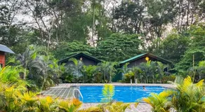 Dandeli River Valley Resort - Image 3