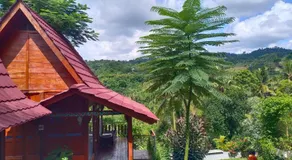 Aramaya Hills Boutique - Image 4