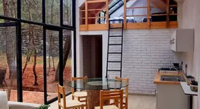 Bosquecielo - Image 3