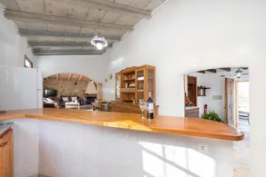 SON GUAL - Image 4