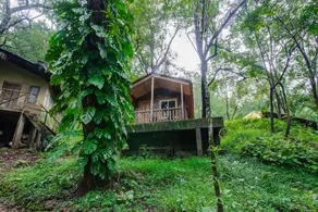 Old Magazine House - Jungle Lodges - Image 5