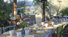 Orto delle Fate - Image 2