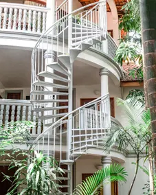 Jungle Addition - Image 2