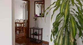 Casa Soleada Calle Tranquila Junto a FIBES - Image 4