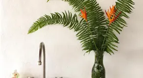 Tortuguero Casa Pelican - Image 3
