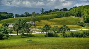 Hong Guo Homestay - Image 4