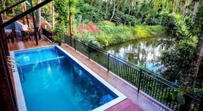 Cozy 3 BHK PoolVilla near Nagerhole National park. - Image 3