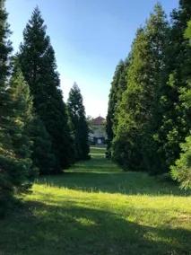 Château de Romécourt - Image 4