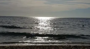 B&b la Fenice - Image 3
