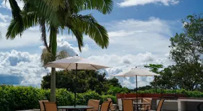 Finca La Coqueta Coffee Farm Stay near Filandia - Image 3