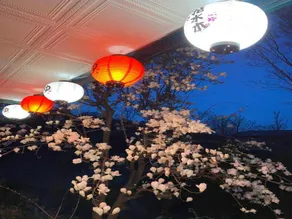 Hanamizuki Onsen Resort - Image 3
