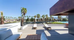 Oceans Oliva - Image 3