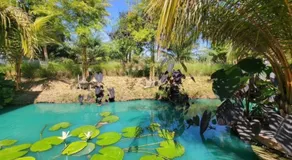Smile Buffalo Resort สไมล์ รีสอร์ท - Image 4