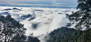 Simba Jungle Lodge, Binsar Wildlife Sanctuary - Image 4