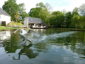La Suite du Pêcheur balnéo et terrasse privative Entre terre et mer Chut le Bonheur y est caché ! - Image 5