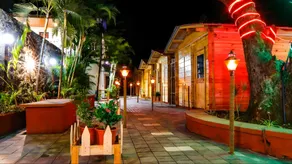 Kaas Woods Resort, Satara - Image 5
