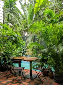 YK Art House & Bong Bonlai Vegan - Image 5
