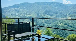 Paradise Inn - Image 4