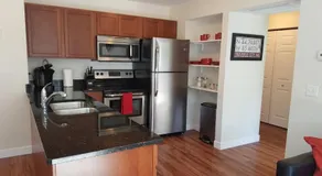 Heart of Traverse City Condo near Hospital - Image 3