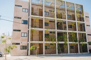 Soho Maza - Image 3