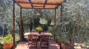La Merla del Tasso - Image 4
