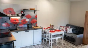 Apartma in wellness Čista fantazija - Image 5
