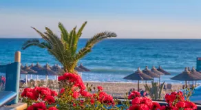 WhiteSands Beach Resort - Image 5