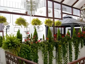 Casa de la Luna - Image 5