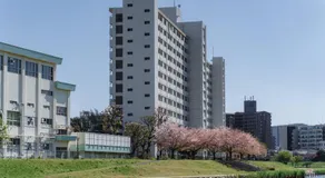Star Hotel - Image 4