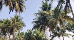 Coastal Vibes Gokarna - Image 3