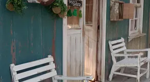Oldtown Chihuahua - Image 4